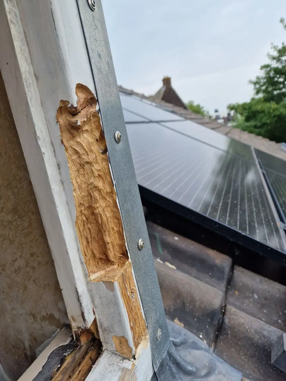 Houtrotschade in het raam van een dakkapel na verwijdering van zwak hout
