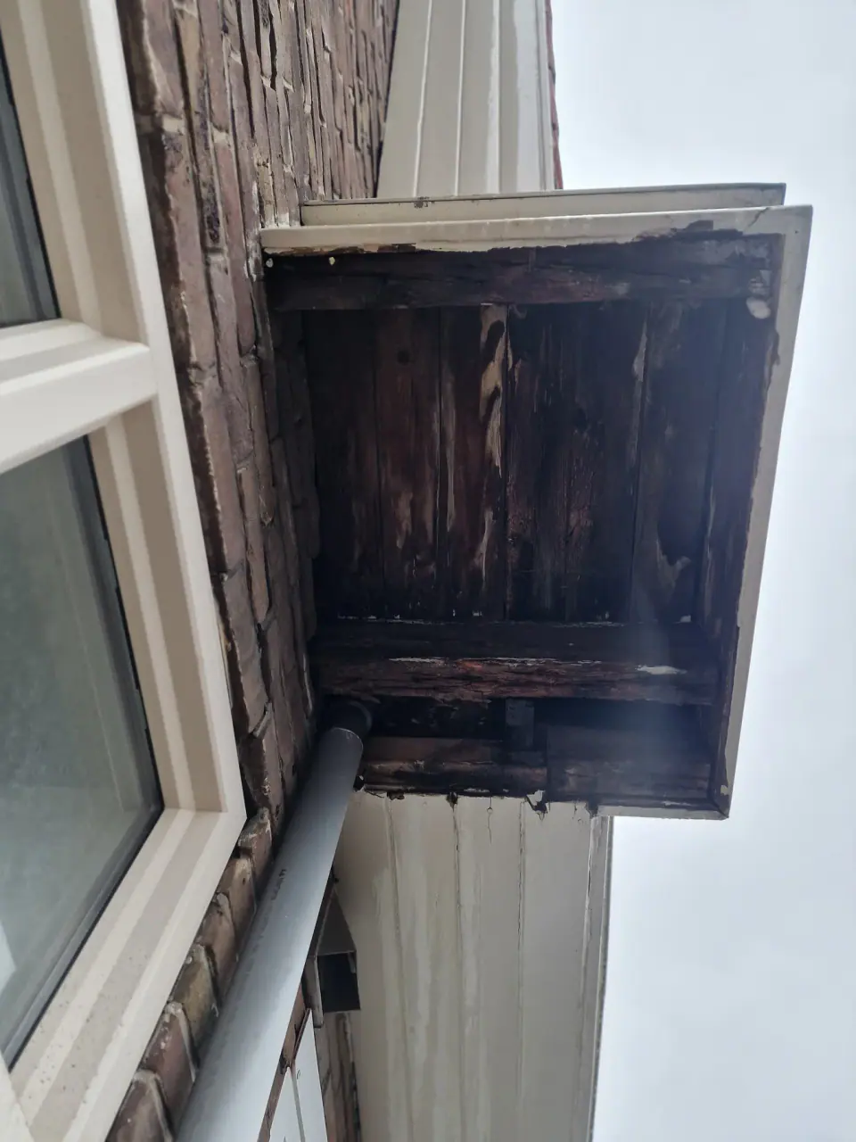 Houtrotschade aan de afvoerzijde van een houten overstek